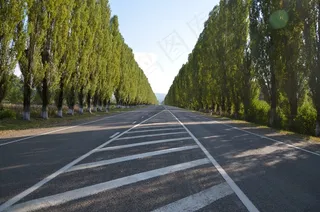道路，轨道，树木，杨树，Vista，大自然