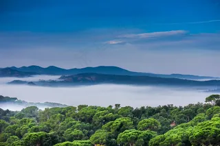 景观，自然，雾，山脉，云