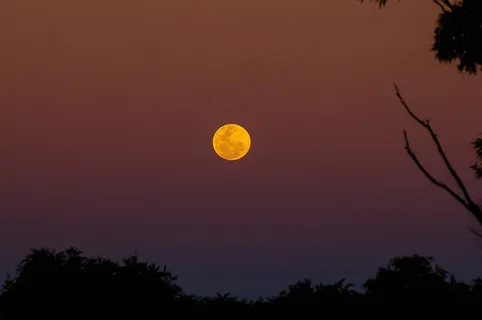 月亮,日落,红色,天空 月亮,日落,红色,天空