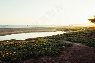 树,风景,江河,长城,街道,海海岸池塘海景