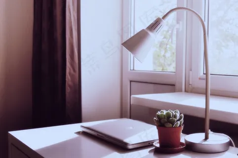 Macbook,笔记本电脑,电脑,书桌,灯,植物,锅,房间 Macbook,笔记本电脑,电脑,书桌,灯,植物,锅,房间