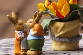 复活节兔子，习俗，习俗，奥斯特森