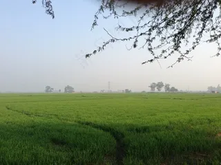 绿地，草原，景观，荒野，风景