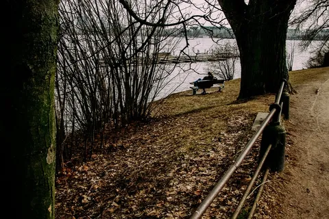 树,铁路轨道,村道,地板砖,盆栽植物,情侣在公园