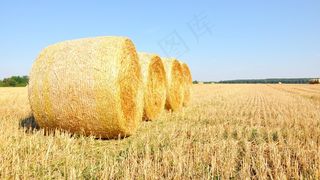 夏天，稻草，黄色