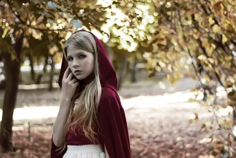 秋，性质，金色的秋天，森林，树木，叶子