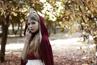 秋，性质，金色的秋天，森林，树木，叶子