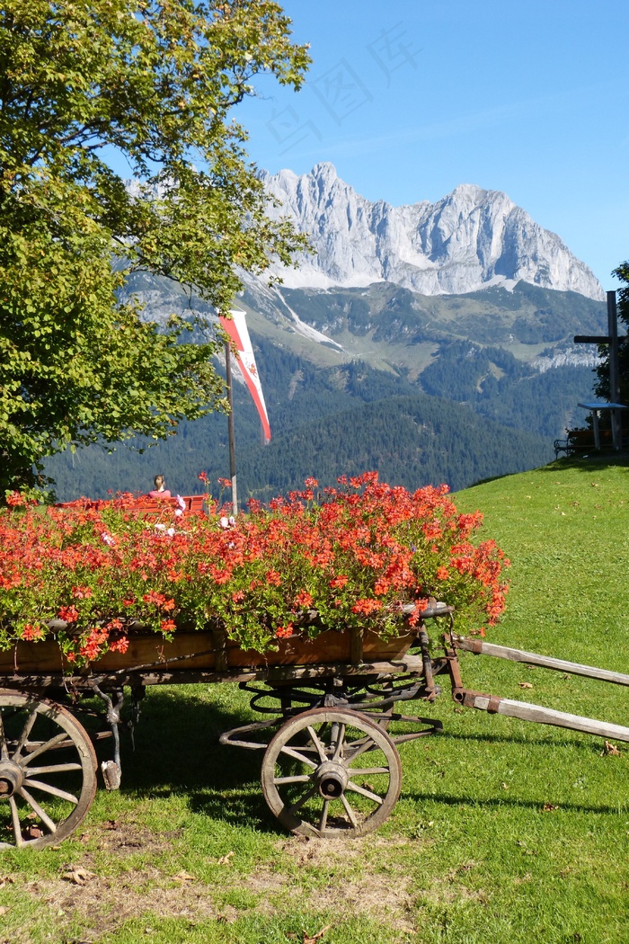 购物车，花卉装饰，Wilderkaiser，浪漫