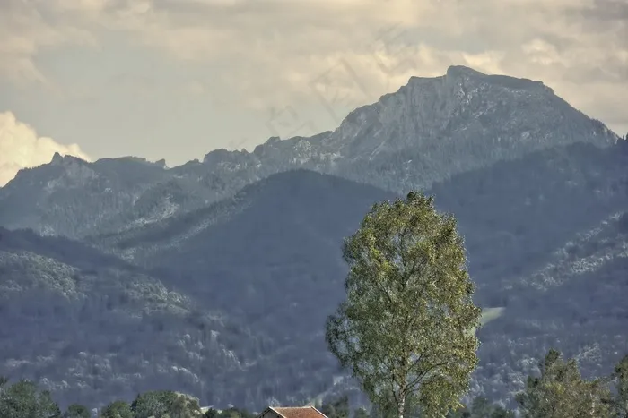 景观，岩，岩层，树，绿树