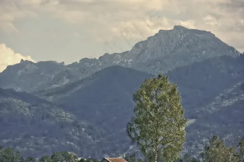 景观，岩，岩层，树，绿树