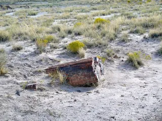 沙漠，自然，岩，磨砂，植被，沙，干旱