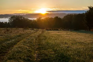 日出，雾，云团，太阳晒，离，阿默湖，巴伐利亚