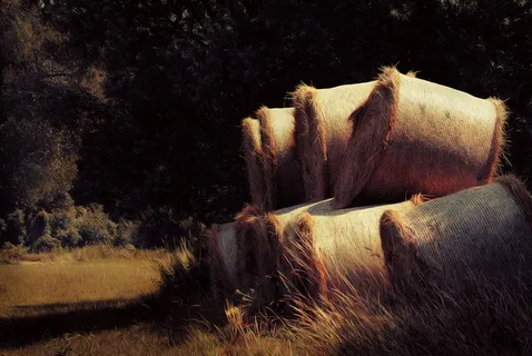 干草堆，干草，大包，农业，稻草，农业