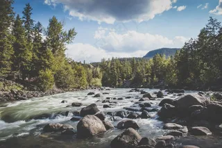 江，流，水，岩石，树木，森林，性质，天空