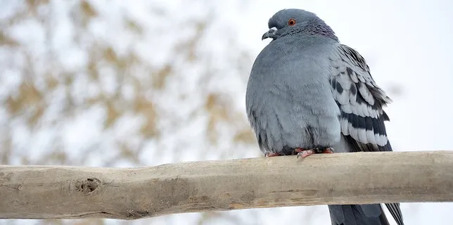 卡帕多细亚,冬季,自然,雪,冻结,冰,天空 卡帕多细亚,冬季,自然,雪,冻结,冰,天空