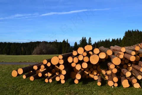 天空，木，树，堆栈，看到了，案件，Holzstapel