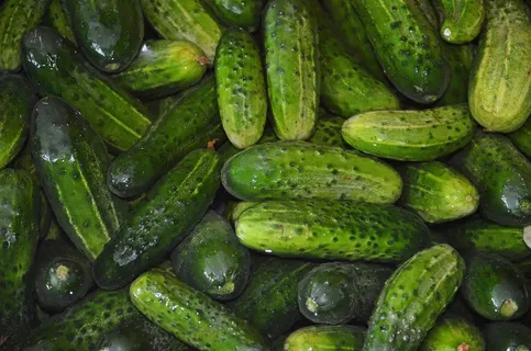黄瓜,蔬菜,食品,水,青瓜 黄瓜,蔬菜,食品,水,青瓜