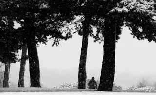 孤独，图，寂寞，黑色，性质，女人，年轻