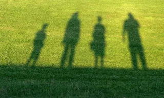 草原,稻田画,体育场馆,水稻田,稻田,在阳光明媚的草地上家庭的阴影