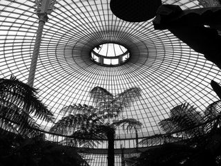 天花板，植物园，建筑，装饰，圆形，玻璃