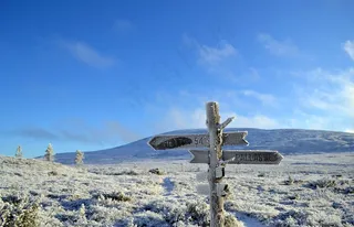 跌倒，拉普兰，拉普兰，芬兰，大比目鱼，粉