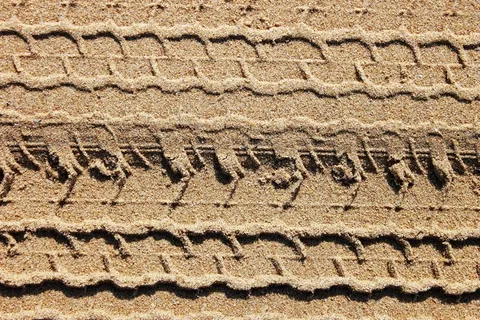 沙，海，海滩，海洋，足迹，痕迹，背景