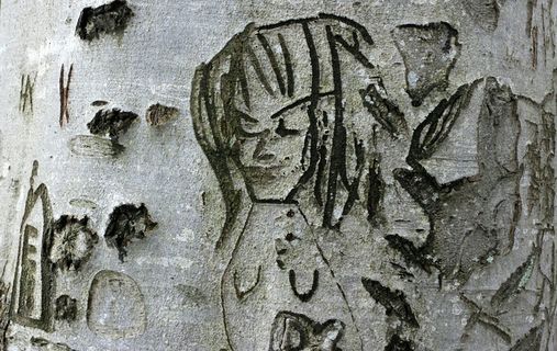 树，刻，脸，人，符号，刻