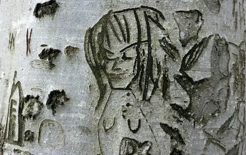 树，刻，脸，人，符号，刻