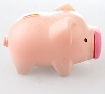 猪，存钱罐，钱罐