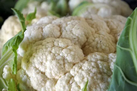 白菜,花椰菜,科尚,叉子,蔬菜,午餐 白菜,花椰菜,科尚,叉子,蔬菜,午餐