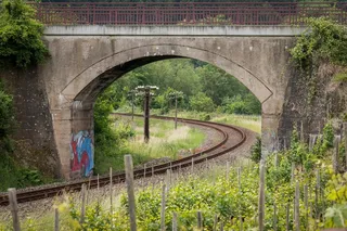 桥梁，轨道，铁路，藤，葡萄，似乎