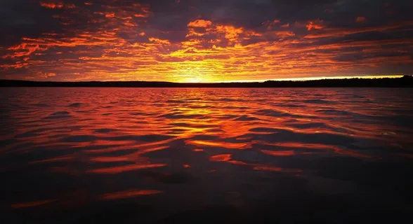 日落，海，海洋，自然，夏天，水，太阳
