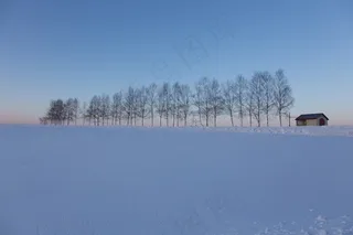 北海道，雪，蓝天，日本，天空，景观，自然