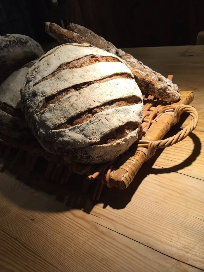 面包,古钱币,石鳖,鱼化石,棒球手套,一块一块垫上的面包