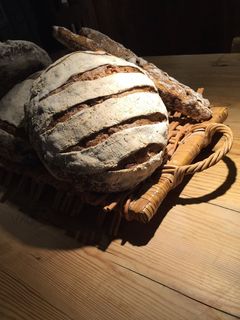 面包,古钱币,石鳖,鱼化石,棒球手套,一块一块垫上的面包