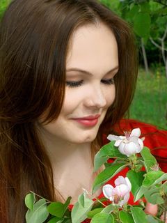 鲜花，春天，美女，自然，英俊，分支