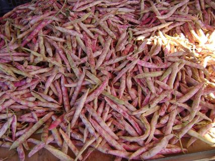 豆，市场，食品，新鲜，有机，健康，蔬菜