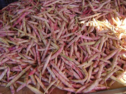 豆，市场，食品，新鲜，有机，健康，蔬菜