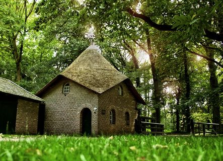 水磨，高峰，下面，森林，自然