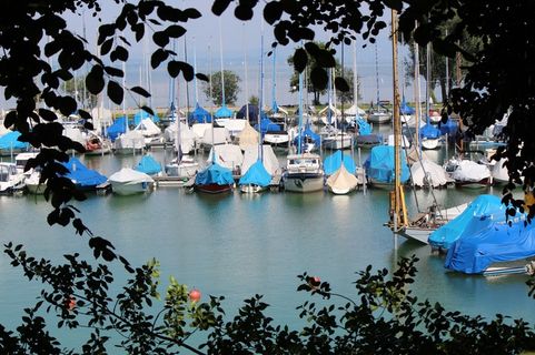 心情，气氛，分支机构，湖泊，船，夏天