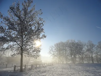 冬季,雪,光,景观,太阳,天空,蓝色,白色 冬季,雪,光,景观,太阳,天空,蓝色,白色