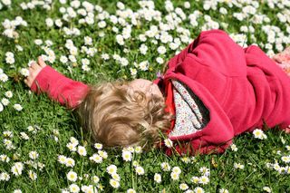 雏菊，草地，Blütenmeer，春天，睡眠，关注