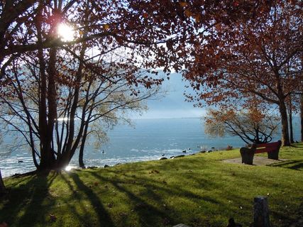 湖泊风景，休息，沉默，恢复，自然，Lago Maggiore