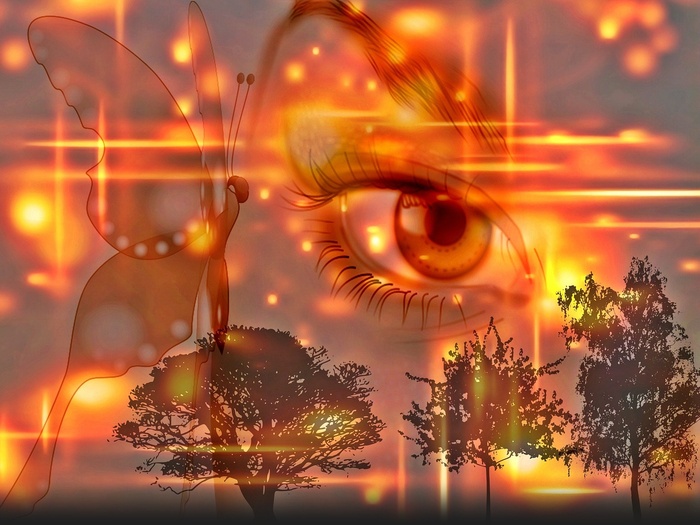 眼睛，蝴蝶，晚上，天空，灯光效果，女人