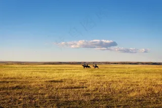 骑马，草原，广阔，景观
