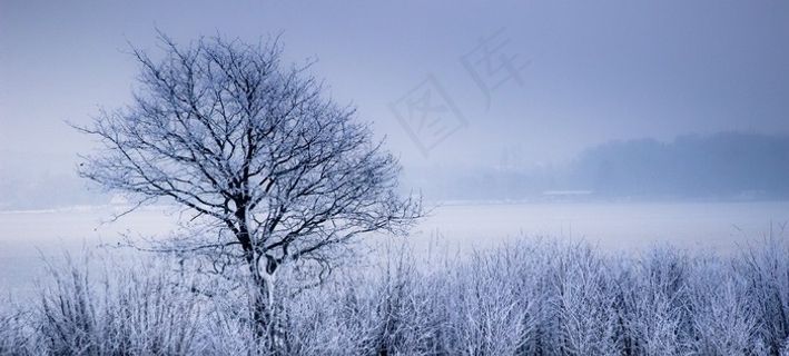 我的峡湾，怒不可遏！