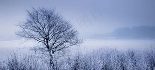 我的峡湾，怒不可遏！