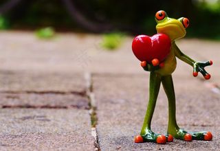 树蛙,猫眼树蛙,豌豆射手,青蛙,玩具,青蛙在人行道上的小雕像