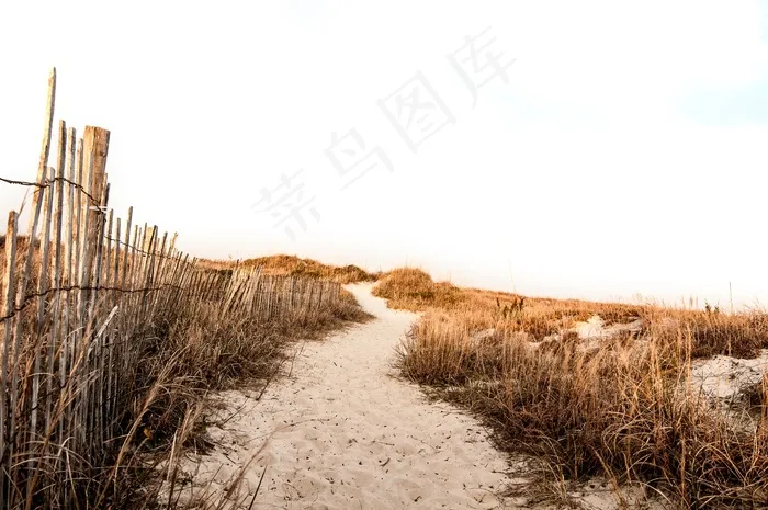 海滩，沙，路径，篱笆，草，假期，假期