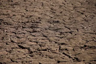 地球，地面，脱水，干旱，干燥，自然